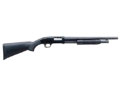 Mossberg 500 - Click for more info